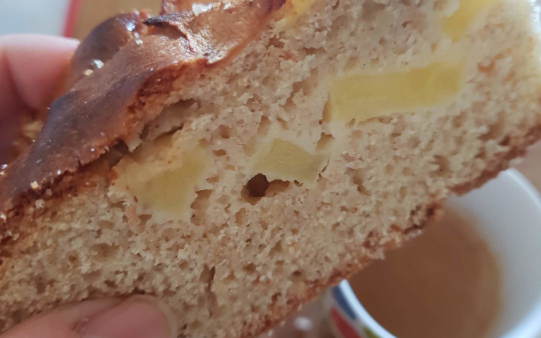 Torta di mele integrale alla cannella, sofficissima e senza lattosio